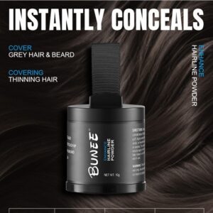 Hairline Powder 10G Filling Repair